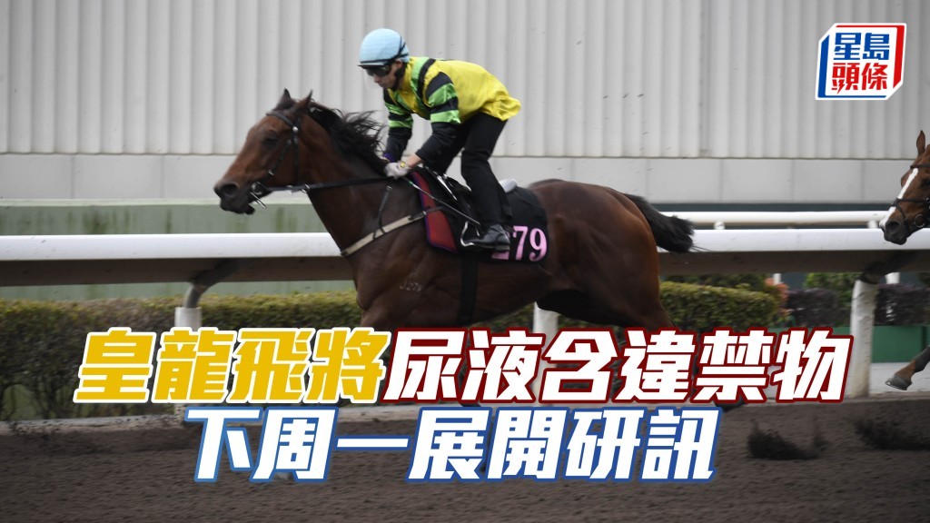 「皇龍飛將」尿液含違禁物，下周一再研訊。