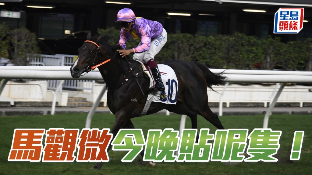 「符號」今仗重回贏馬途程，排內檔好位，將可盡展所長。