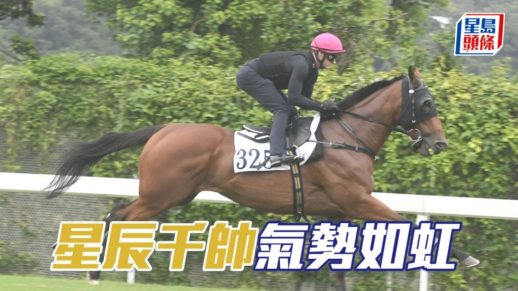 「星辰千帅」全程岳高头走神态威武，勇况保持。