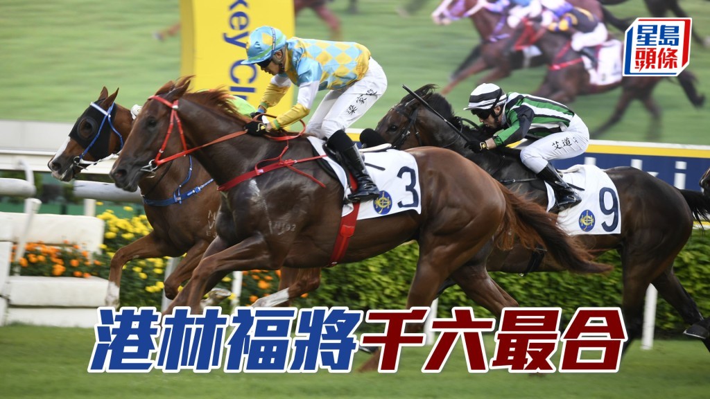 港林福將」回師暫時證明最合跑的千六米，又有內檔之助，有力坐位望贏。
