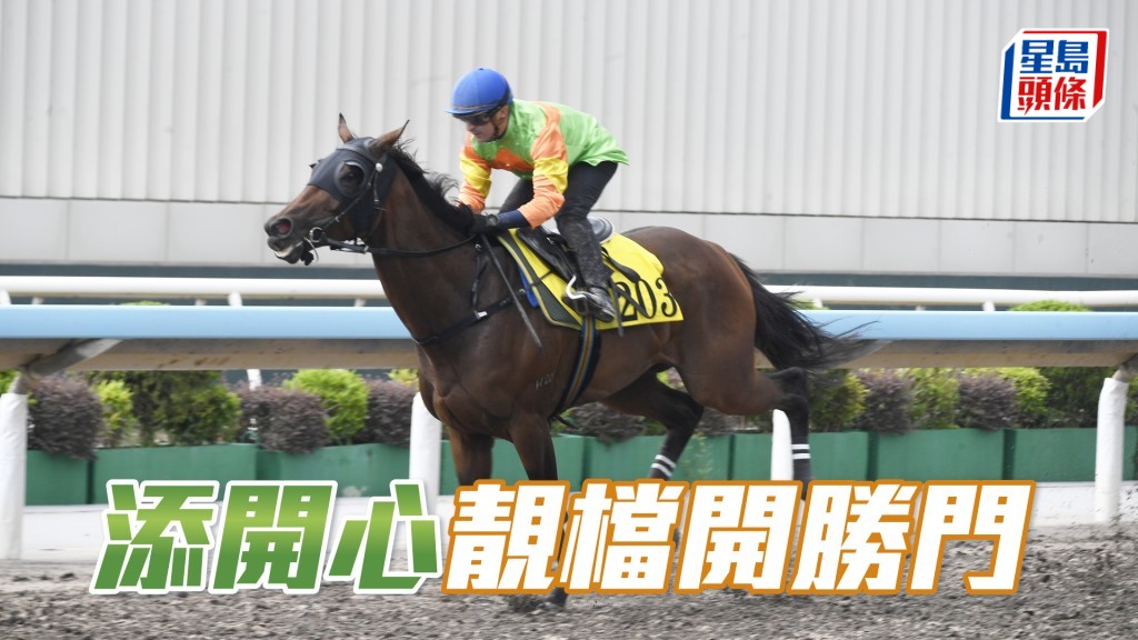 「添開心」落班排一檔,可憑檔位優勢重開勝門。