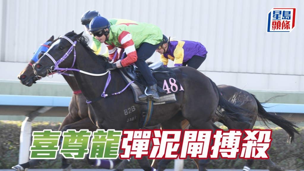 今朝「喜尊龙」特意进行弹泥闸，并指定艾兆礼过档亲试。
