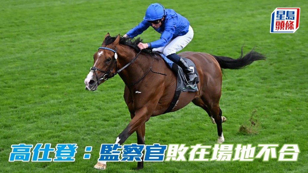 馬場浮世繪｜高仕登指「監察官」敗在場地鬆軟  圖片來源：Focus on Racing