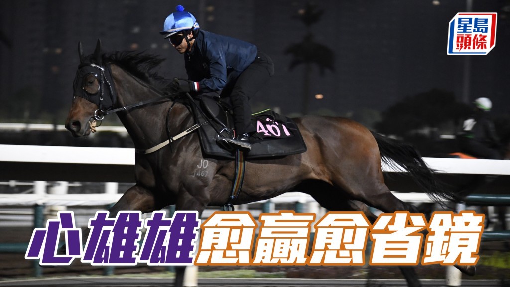 「心雄雄」近日跳來姿態好輕鬆，細粒仔馬身結實毛色靚，愈贏愈省鏡。
