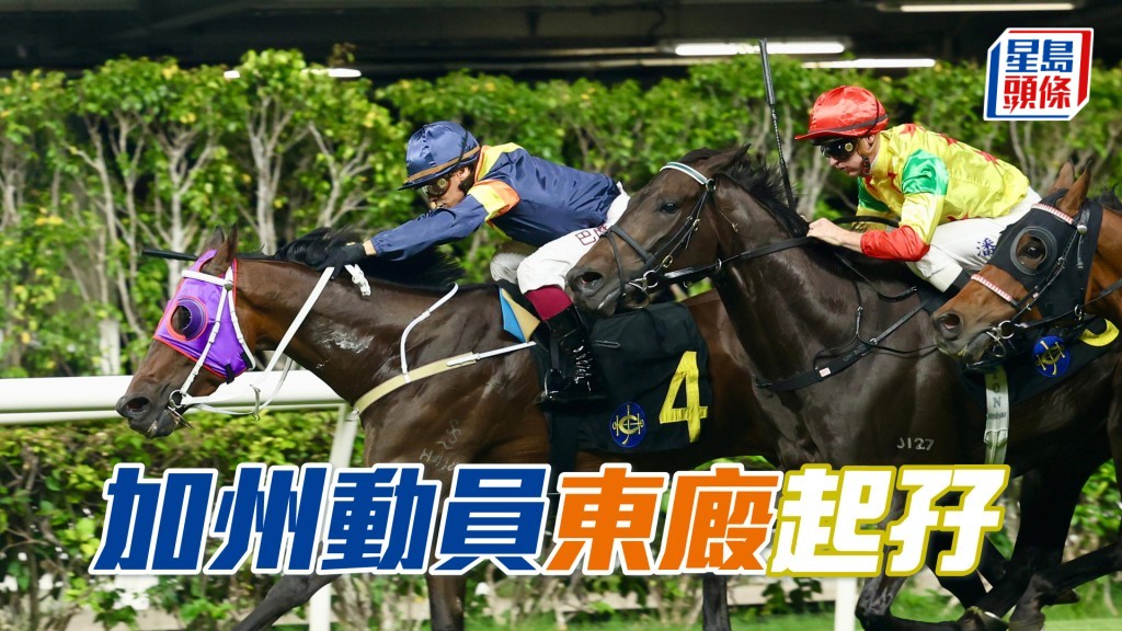 「加州動員」東廄起孖