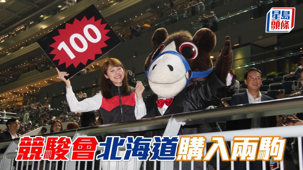 最近兩季養馬運良好的競駿會,成功在北海道札幌2025精選馬匹拍賣會購入兩駒。
