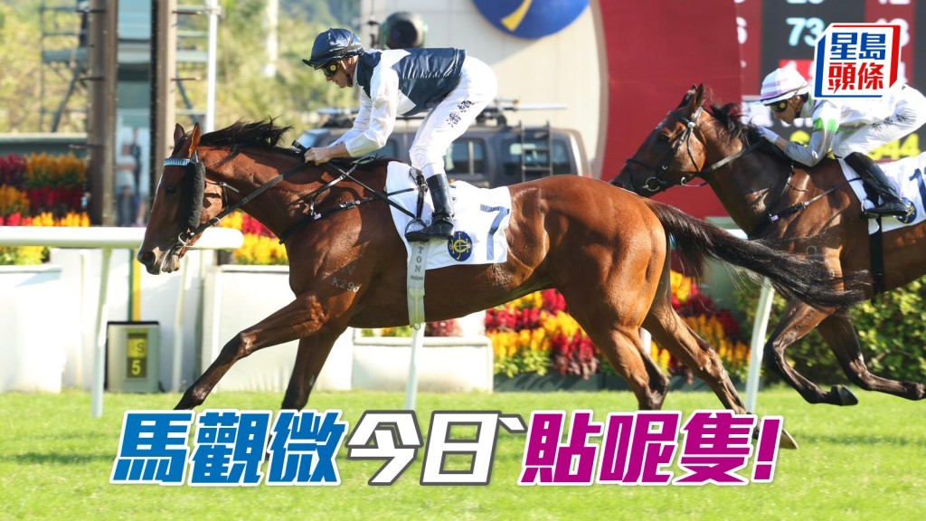 「白鹭金刚」踏康庄