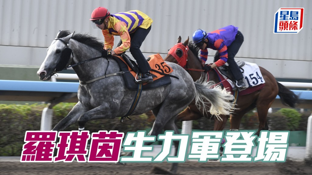  「威利」系马主庄友坚的太太罗琪茵名下的「威利金箭」（图），将在周日在港初次登场。