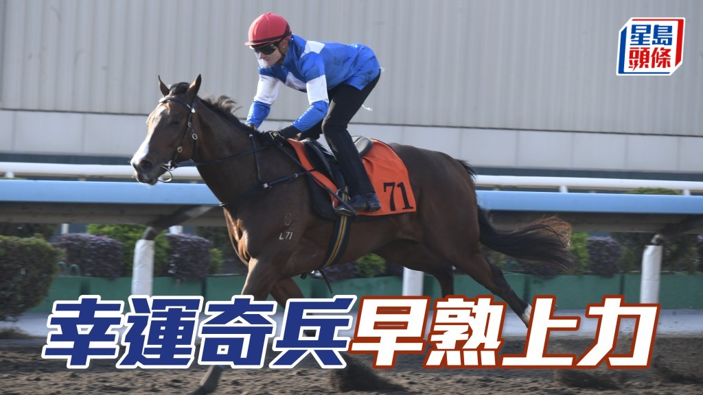 「幸運奇兵」助手踱一圈，試來相當放鬆，氣宇軒昂展現朝氣，馬身一早收壯，熟如舊馬早熟上力。