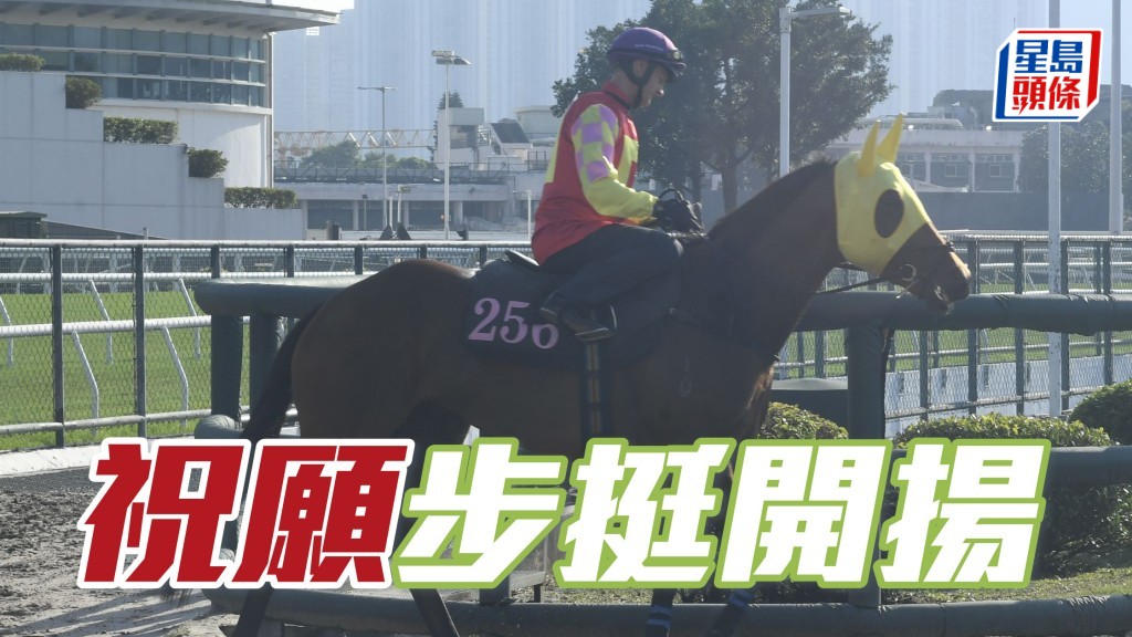 內圈捕影│ 「祝願」步挺開揚