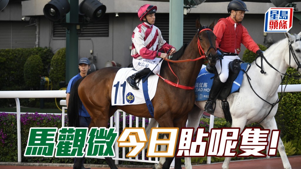 「安都」贏得禮遇