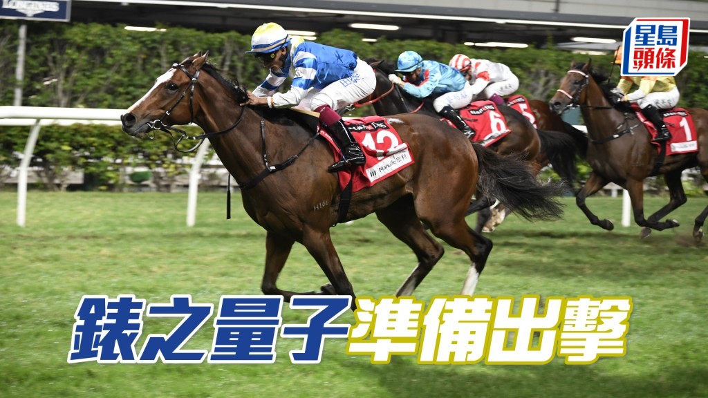 「錶之量子」今季首戰回四班即強配布文，而且初戴羊毛面箍，相信是出擊訊號。