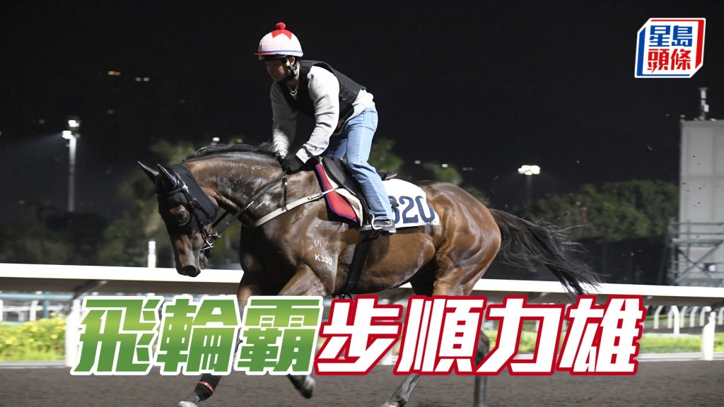 「飛輪霸」展現了極強氣勢，火氣充足。