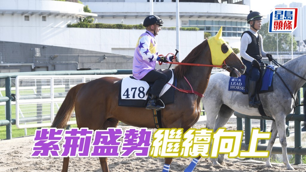 「紫荊盛勢」上仗在港第二戰已能在強組入位，可期繼續向上。