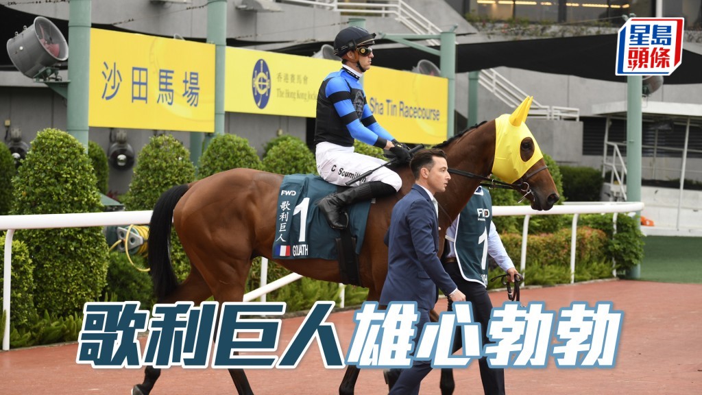 「歌利巨人」最近贏出德國巴登大賽，狀態顯然回勇。