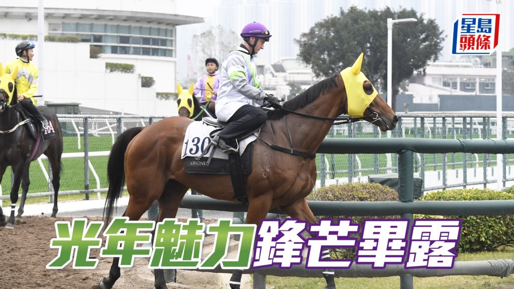 「光年魅力」目光銳利，充滿霸氣。