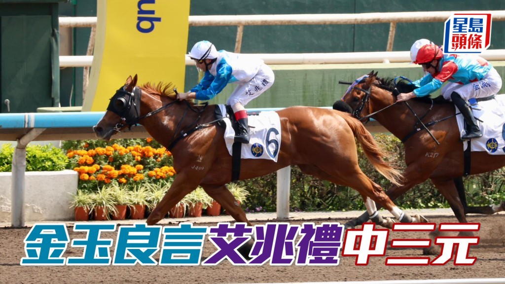 马场密探048｜「金玉良言」艾兆礼中三元