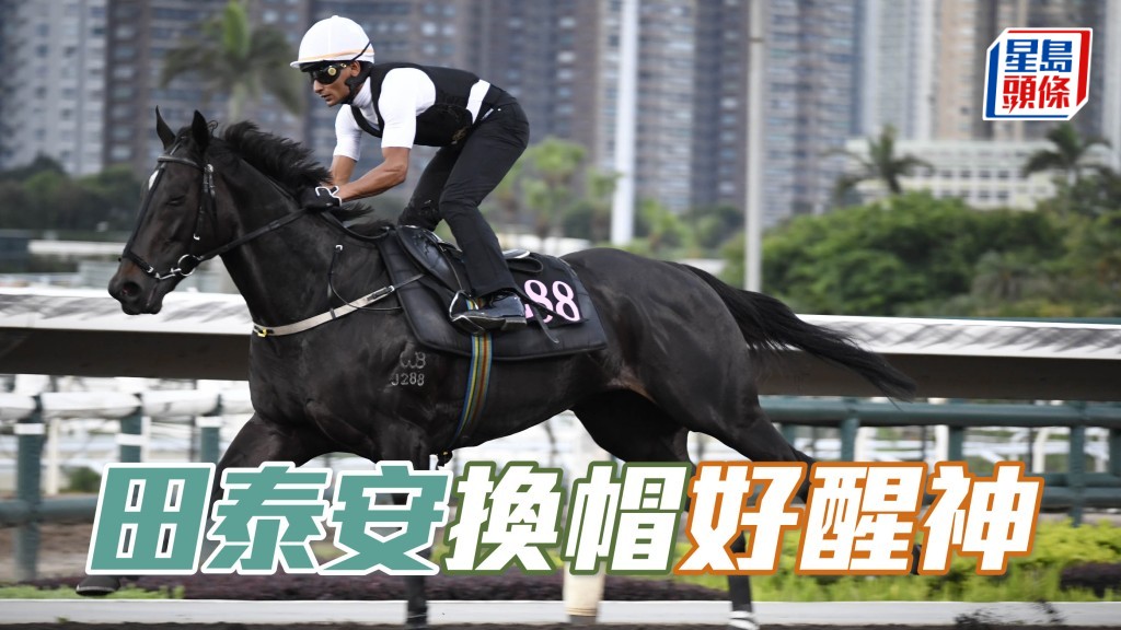 田泰安今朝換了一頂白色帽笠相當醒神,亦試了有程馬「翠湖烈風」(圖)。