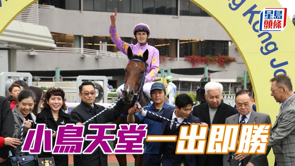 「小鳥天堂」一出即勝