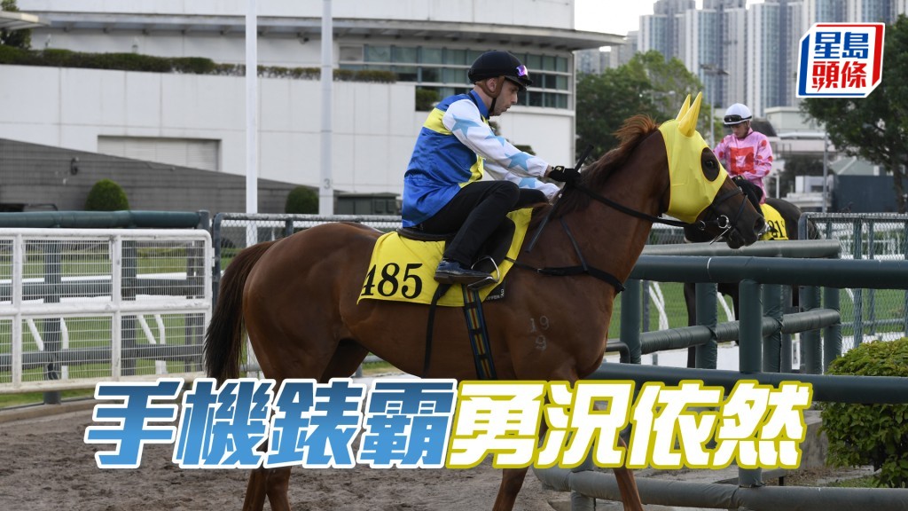 「手機錶霸」神態生猛目光銳利。