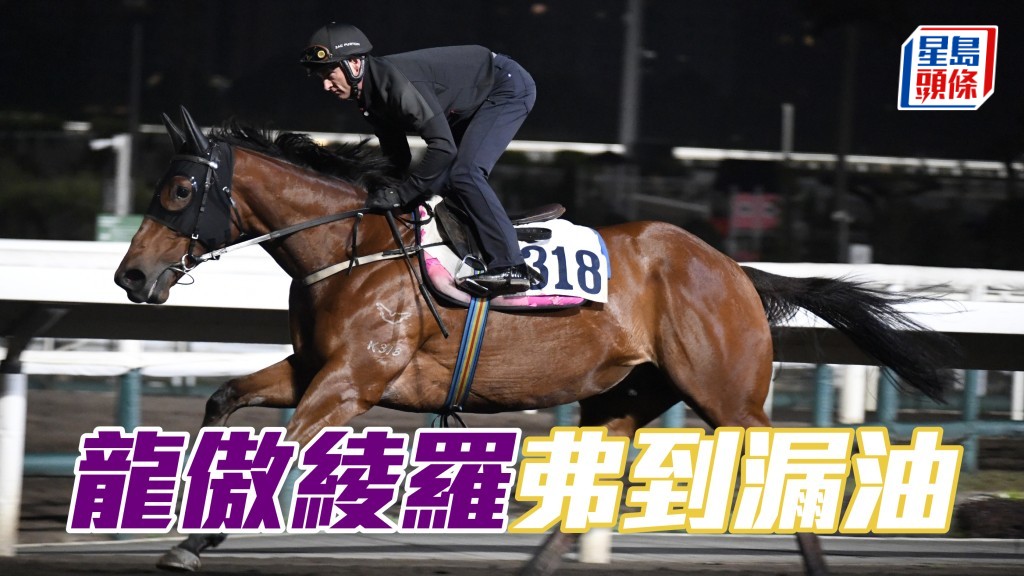   「龙傲绫罗」戴头罩由潘顿跳两段，神生步爽充满朝气，马身壮得很，弗到漏油。