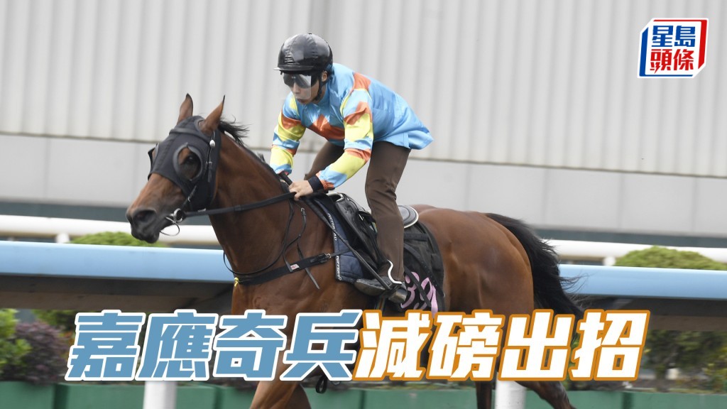 「嘉應奇兵」配黃寶妮，季尾減七磅非常着數。