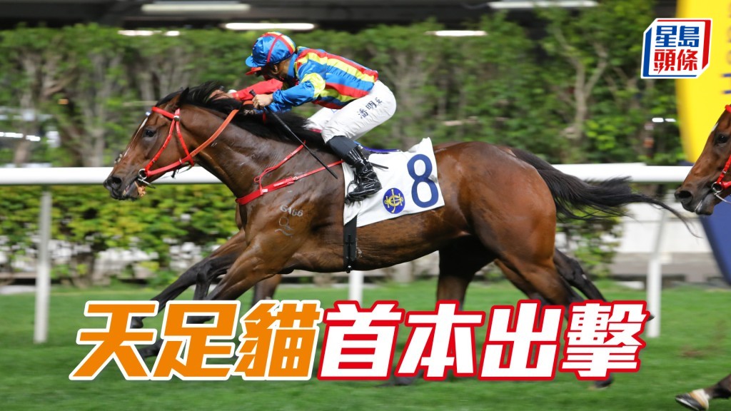 「天足貓」明晚抽排一檔起步，有力取得季內第四場頭馬。