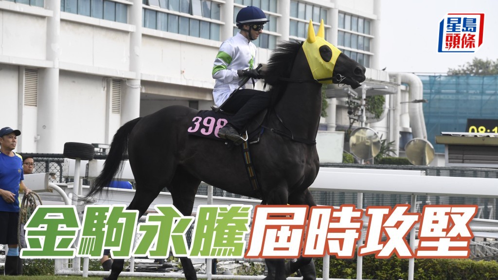 「金駒永騰」近兩仗已試前試後，今仗再等谷草千八重臨，應屆時攻堅。
