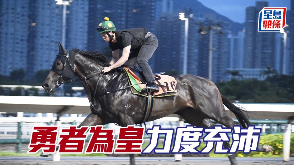 「勇者为皇」马身壮全身肌肉，状态弗到漏油。
