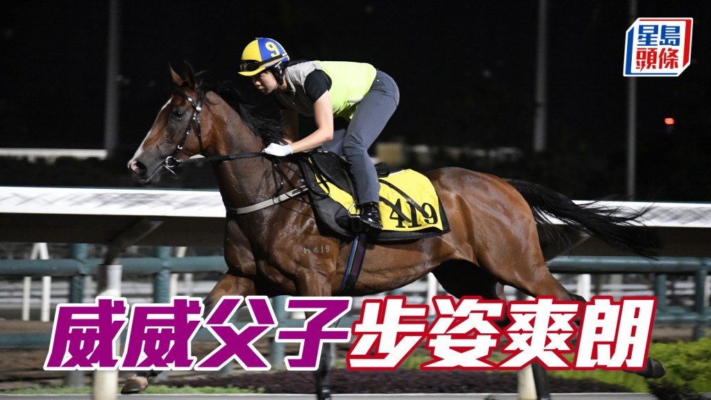  「威威父子」走勢爽勁有力，觀感不遜贏馬時。