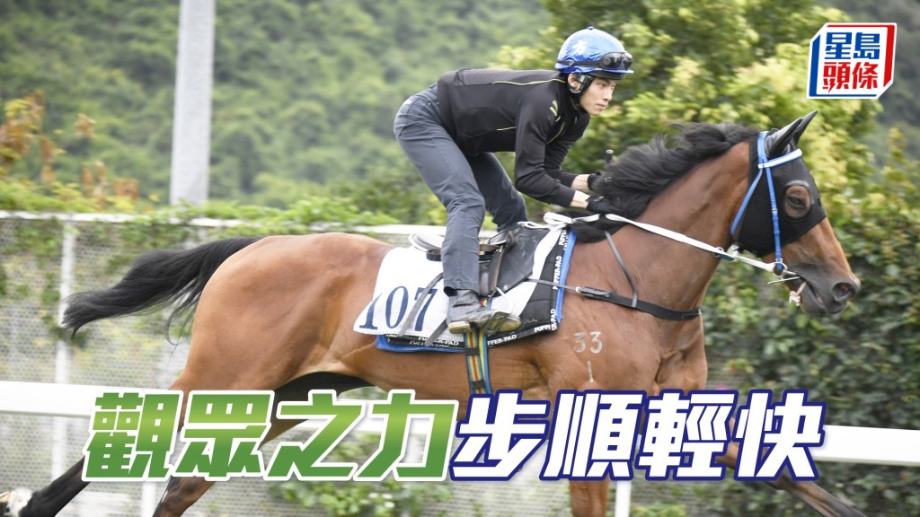 「观众之力」马身保持壮健，新胜犹勇充满好感。