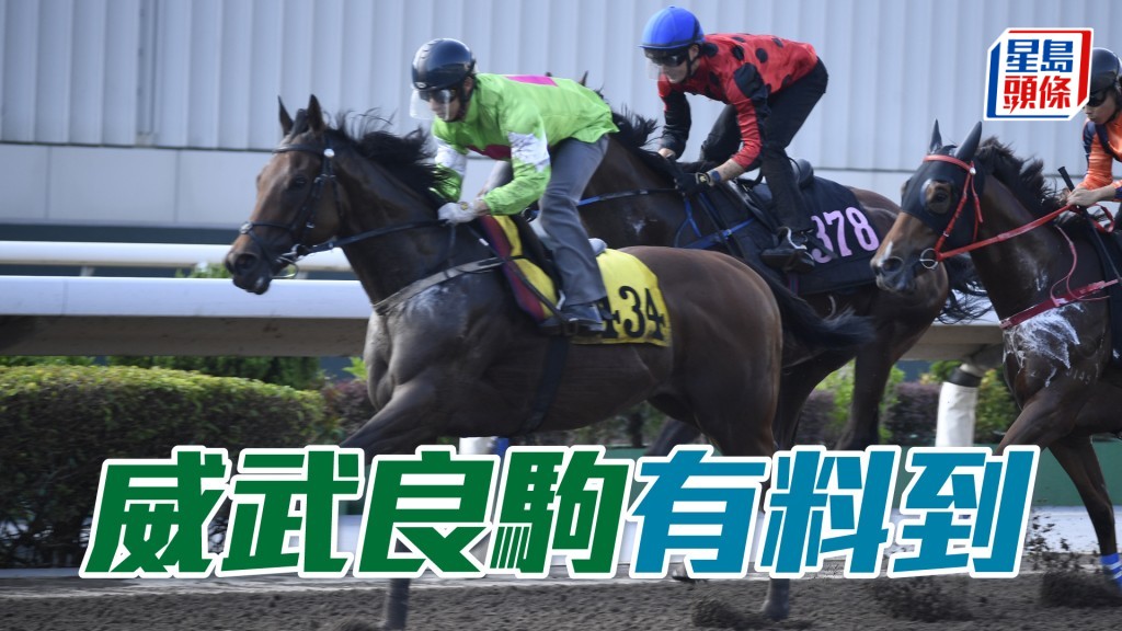 「威武良駒」目前評三十四分極具優勢,幕後安排出爭千二必有料到。
