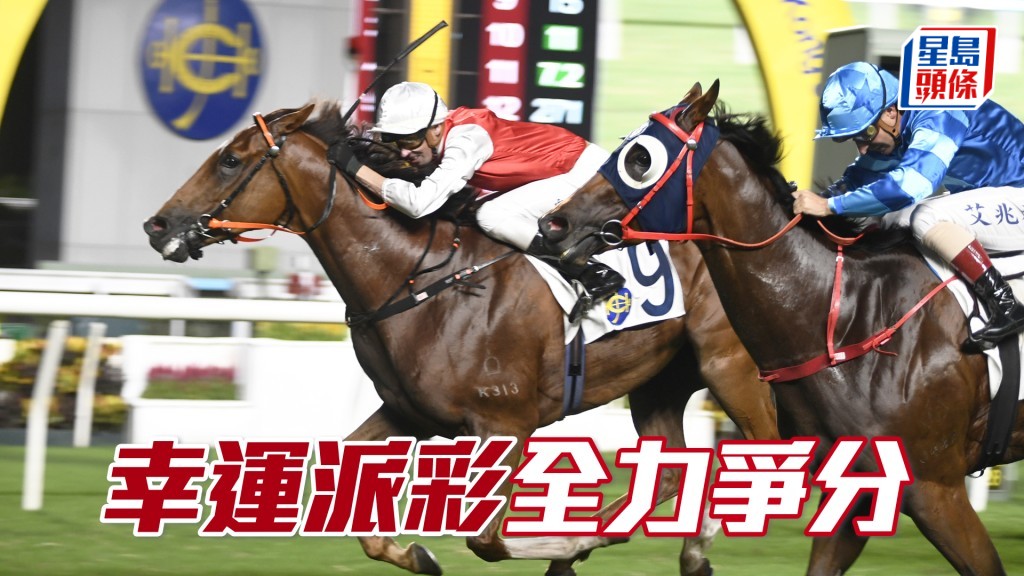  郑则然希望「幸运派彩」能参与四岁马系列赛，当务之急是要全力争分。
