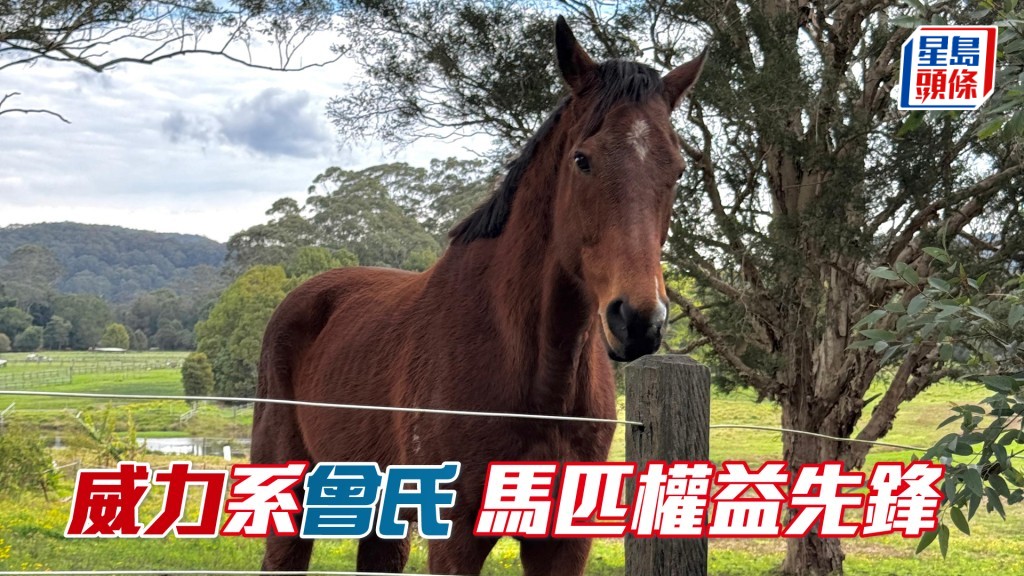 所有「威力」系馬匹退役後,均被安排運往澳洲幾個私人牧場頤養天年,回歸大自然享受退休生活。