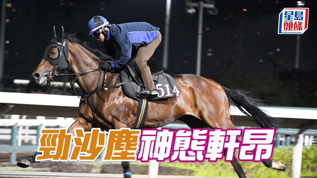 「勁沙塵」走勢硬朗有力，外觀又靚身壯色潤。