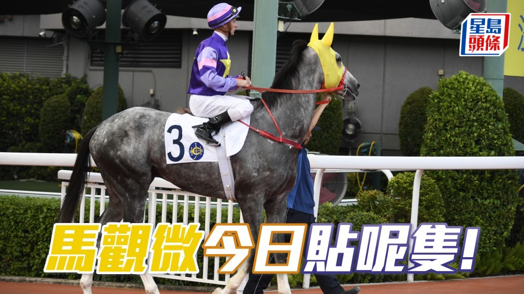 「大眾福星」潘頓成全