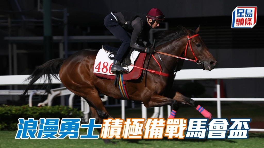 「浪漫勇士」(圖) 沙田快操備戰，中銀香港馬會盃與「遨遊氣泡」拼高下。