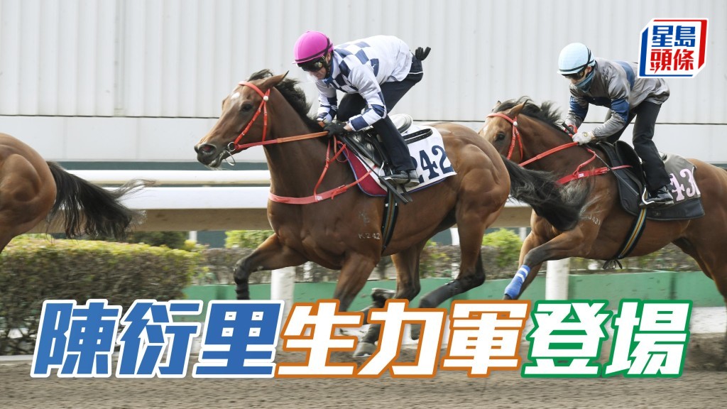 周日在港初次登場的蔡廄馬「激光諜影」(圖),馬主陳衍里醫生是馬會十二大董之一。