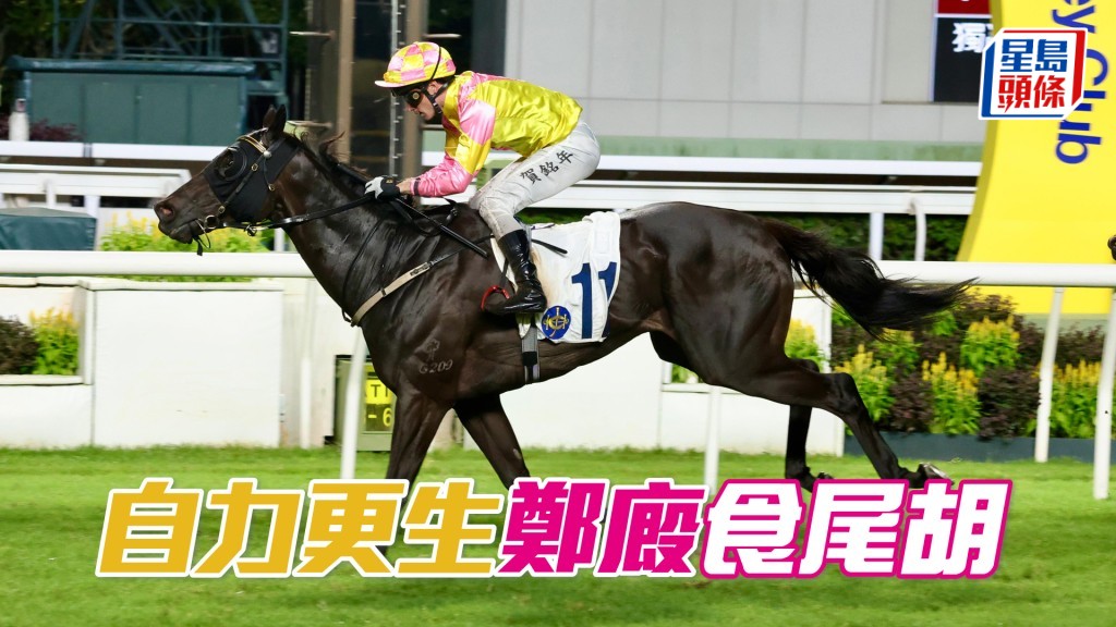 馬場密探048|「自力更生」鄭廄食尾胡