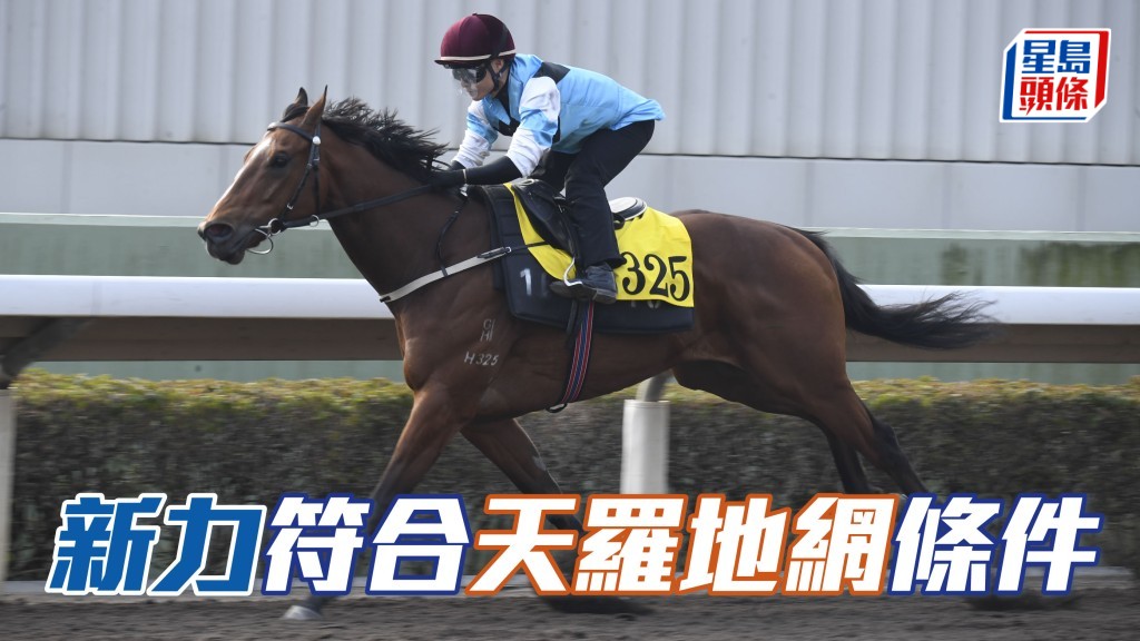 「新力」再戰同程遇同組快馬不多，若能自造步速，有力一放而回。