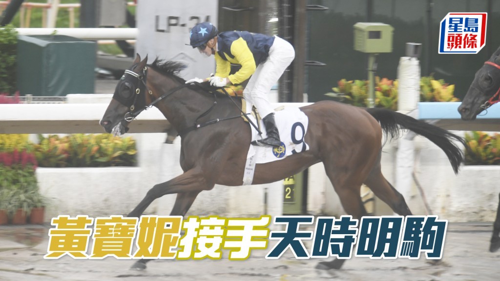 黃寶妮接手「天時明駒」出爭周四沙田三班泥地一哩賽。