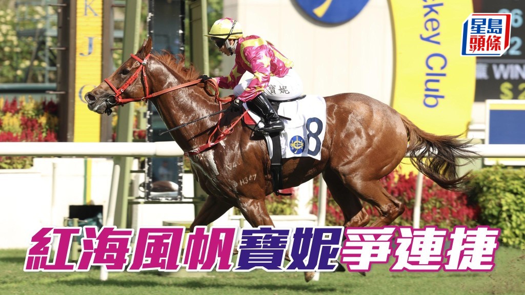 黃寶妮周日復出,夥拍「紅海風帆」爭連捷。