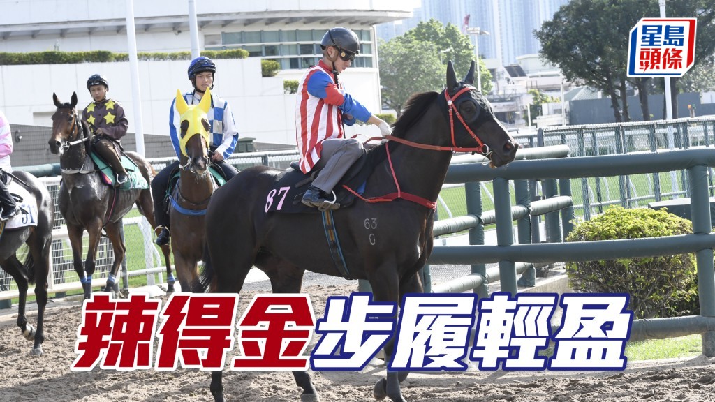 「辣得金」大半程岳高頭走，充滿朝氣精神爽利。