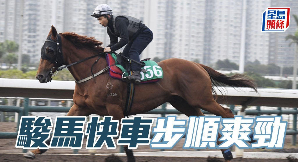 「駿馬快車」出腳步順爽勁，狀態已去番最佳水平。