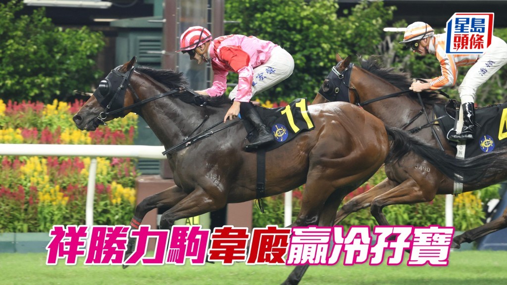 「祥勝力駒」韋廄贏冷孖寶