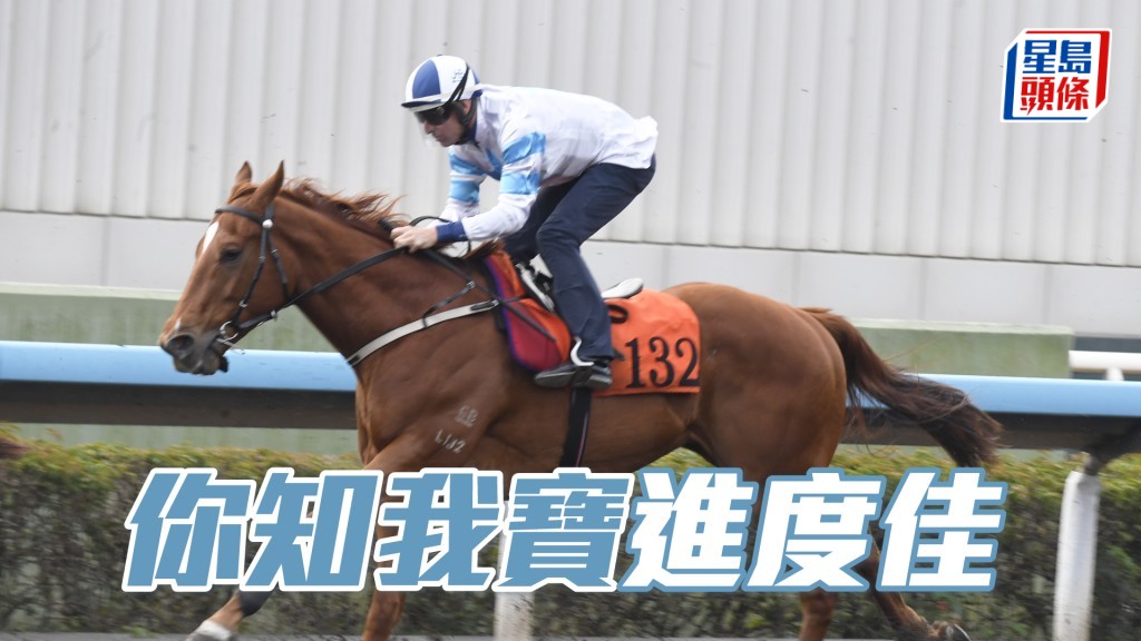 「你知我寶」進度佳