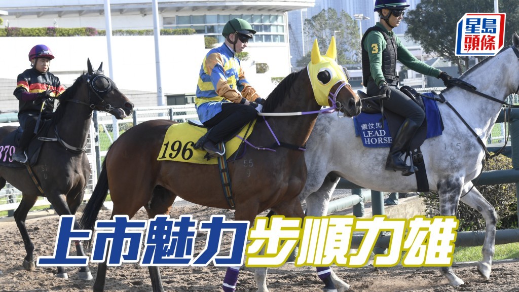 「上市魅力」擔高頭走極具朝氣，去番最弗時。