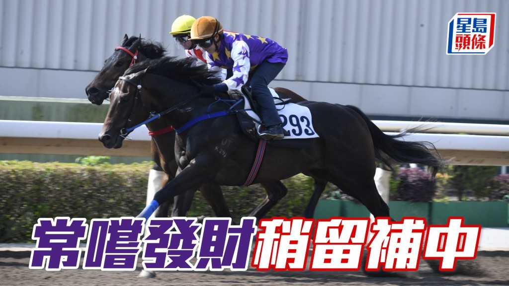 今次「常嚐發財」(圖) 轉排內檔，有望用回在試閘的跑法，到底是龍是蟲，今仗應有分曉。