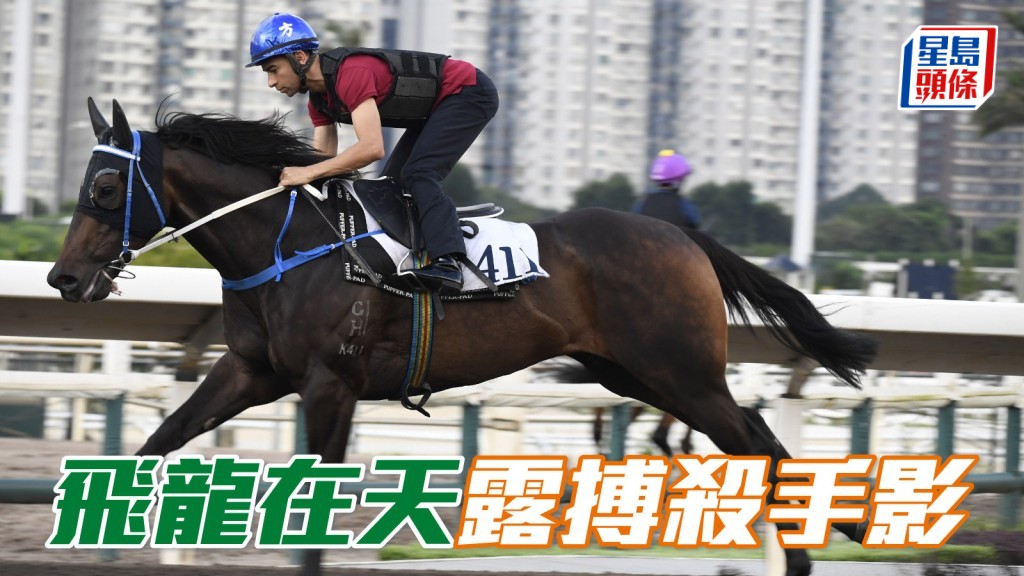 「飞龙在天」今早露搏杀手影
