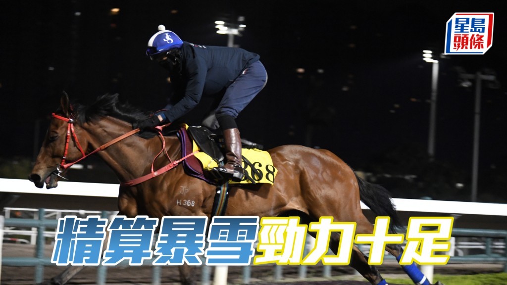 「精算暴雪」出腳步大力雄,狀態已操勇。